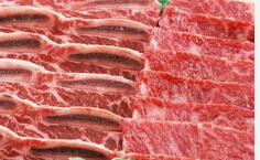 肉片機、肉絲機